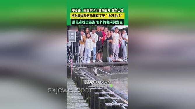 雨后西湖魚躍龍門,預(yù)示成功新趨勢(shì)? 雨后西湖魚躍龍門,預(yù)示成功新趨勢(shì)?