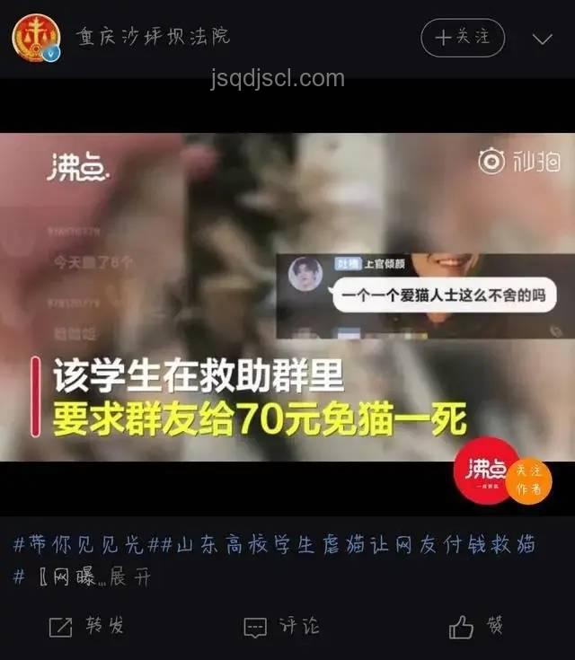 大學(xué)生虐貓事件處理指南：責(zé)任、教育與法律并行