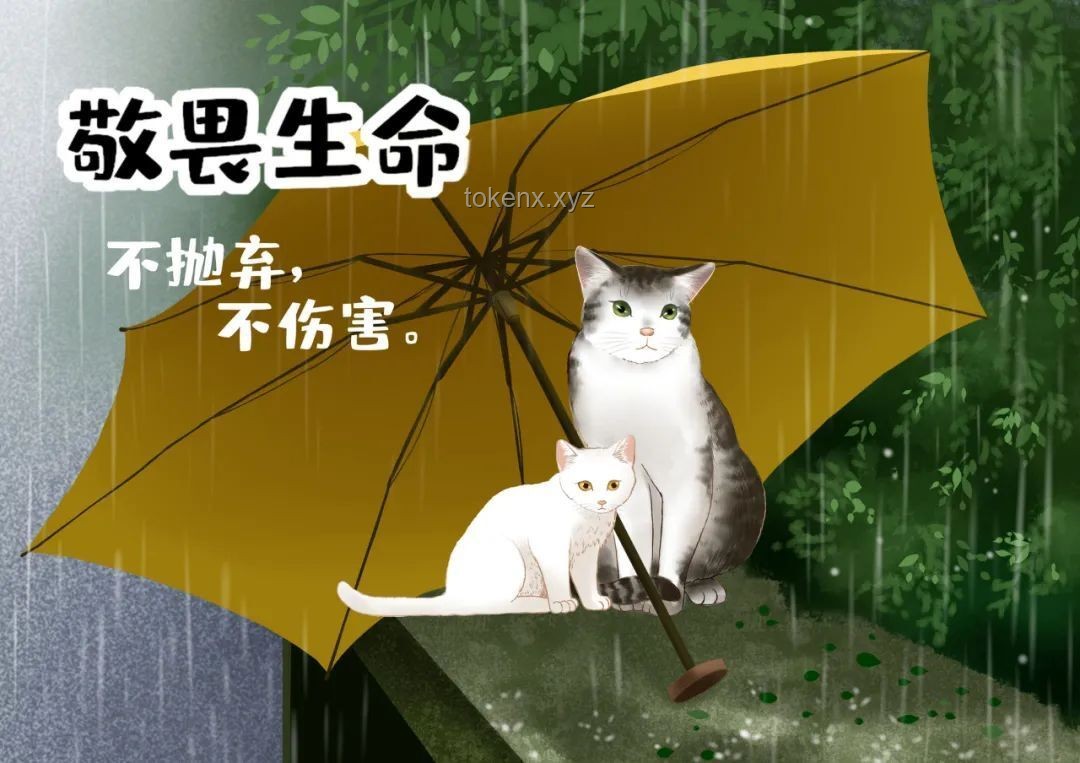 虐貓事件新解：以創(chuàng)新教育重塑大學(xué)生價(jià)值觀??，跨界心理，情感智能
