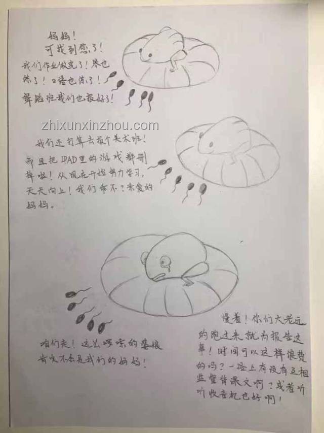 現(xiàn)實(shí)版“小蝌蚪找媽媽”：一場(chǎng)關(guān)于成長(zhǎng)的尋根之旅??,親情,成長(zhǎng),自我發(fā)現(xiàn),堅(jiān)持