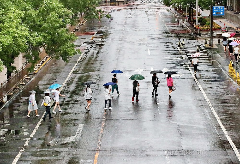 雨天臨時(shí)閉園，不期而遇的小確幸?????