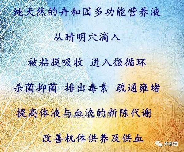 中年以后,行走最能養(yǎng)命:健康行走的奧秘 中年以后,行走最能養(yǎng)命:健康行走的奧秘