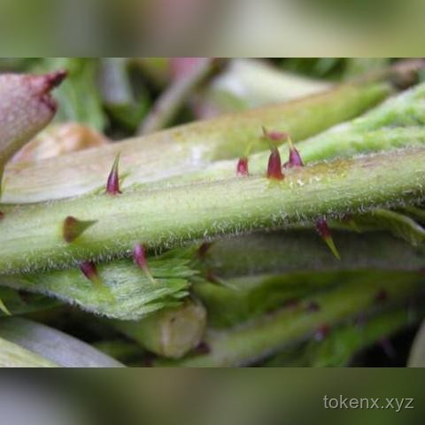 如何與孩子“站在一起”，緩解抑郁癥少年的痛苦