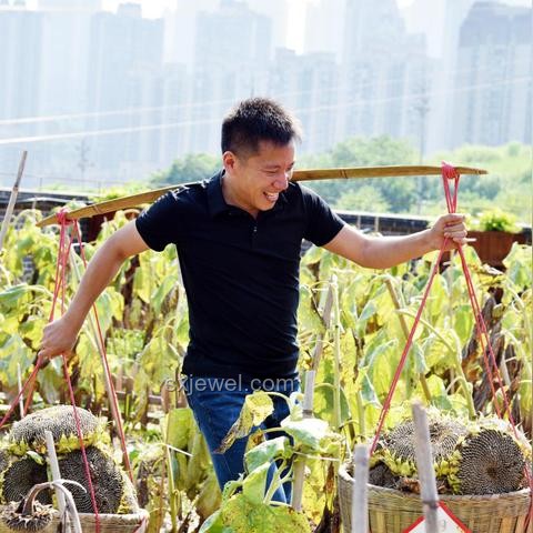 扁擔女孩的高考逆襲之路：汗水鑄就夢想