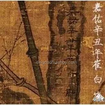 蟬尿之謎：一場(chǎng)關(guān)于自然誤解的探索之旅??,真相,感悟,趣味,成長(zhǎng)