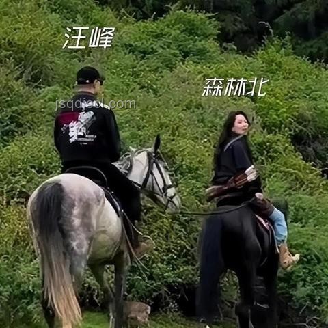 汪峰歷任女友對比分析:森林北與其他女友的差異 汪峰歷任女友對比分析:森林北與其他女友的差異