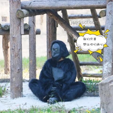 動物園門票違規(guī)收費解決方案