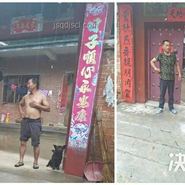 河南西峽極端強降雨應(yīng)對指南：保障安全，減少損失