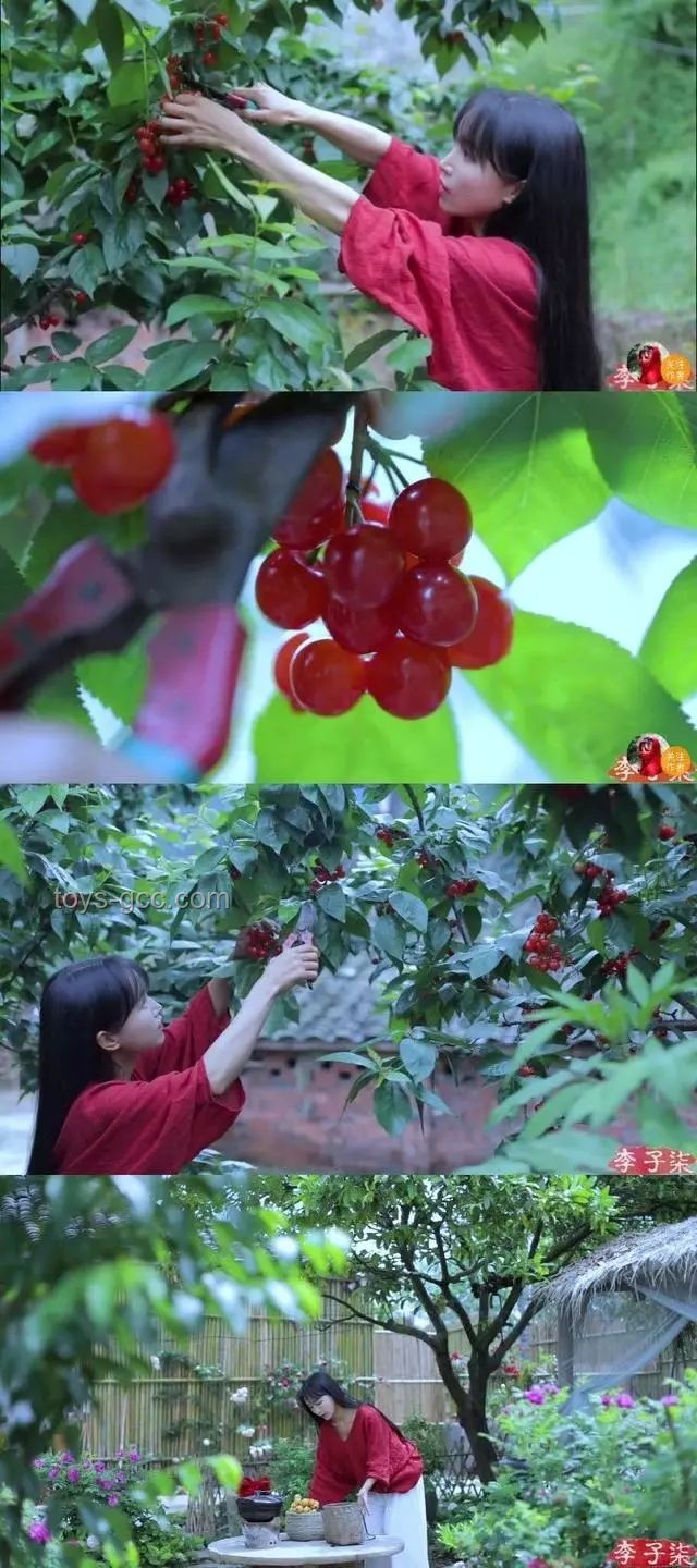 再看李子柒的院子VS現(xiàn)代快節(jié)奏生活:日子過法的深度對(duì)比 再看李子柒的院子VS現(xiàn)代快節(jié)奏生活:日子過法的深度對(duì)比