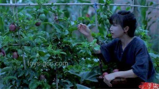 再看李子柒的院子VS現(xiàn)代快節(jié)奏生活:日子過法的深度對(duì)比 再看李子柒的院子VS現(xiàn)代快節(jié)奏生活:日子過法的深度對(duì)比