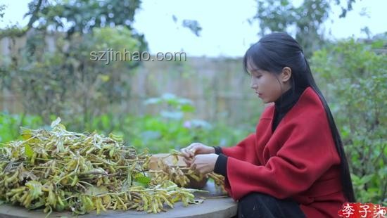 再看李子柒的院子VS現(xiàn)代都市生活:日子過法的深度對比 再看李子柒的院子VS現(xiàn)代都市生活:日子過法的深度對比
