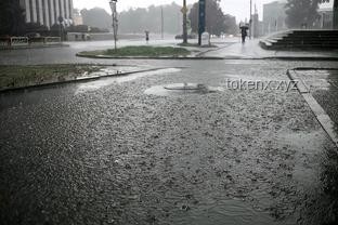 城市內(nèi)澇解決方案探究：以湖北咸豐暴雨事件為例