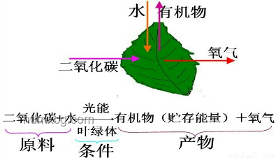 這一刀,拯救隊友于水火:精準戰(zhàn)術(shù)切割在團隊協(xié)作中的關(guān)鍵作用 這一刀,拯救隊友于水火:精準戰(zhàn)術(shù)切割在團隊協(xié)作中的關(guān)鍵作用
