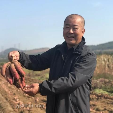 ??深圳教師辭職記:高薪背后的抉擇與成長 ??深圳教師辭職記:高薪背后的抉擇與成長