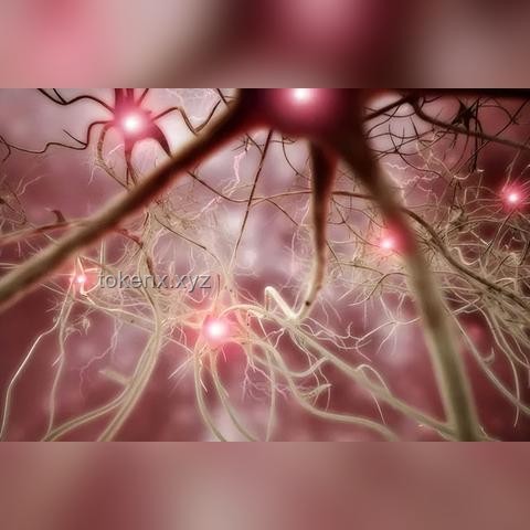 警惕高溫隱形殺手:熱射病 警惕高溫隱形殺手:熱射病