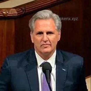 美眾議院表決通過“大而美”法案案例研究 美眾議院表決通過“大而美”法案案例研究