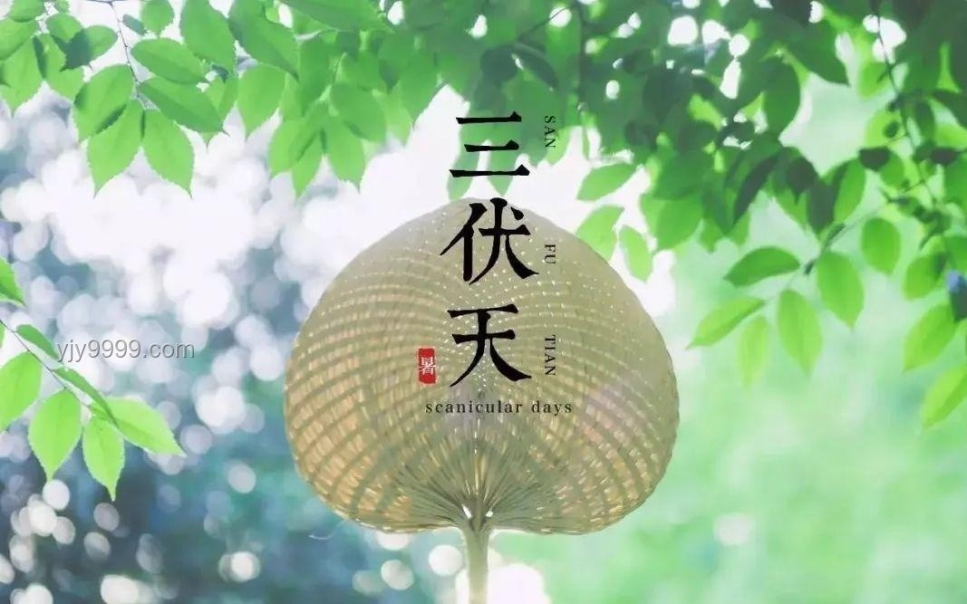 今年三伏天10年難遇,有何特殊講究? 今年三伏天10年難遇,有何特殊講究?