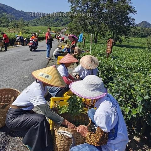 《王者榮耀》王者段位50顆星以上：巔峰競(jìng)技的深度剖析
