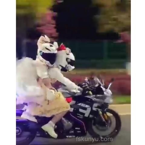 21歲機車少年車禍離世案例與交通安全意識對比分析 21歲機車少年車禍離世案例與交通安全意識對比分析