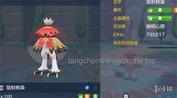 絕區(qū)零2.1星見(jiàn)雅復(fù)刻攻略：高效獲取與培養(yǎng)策略