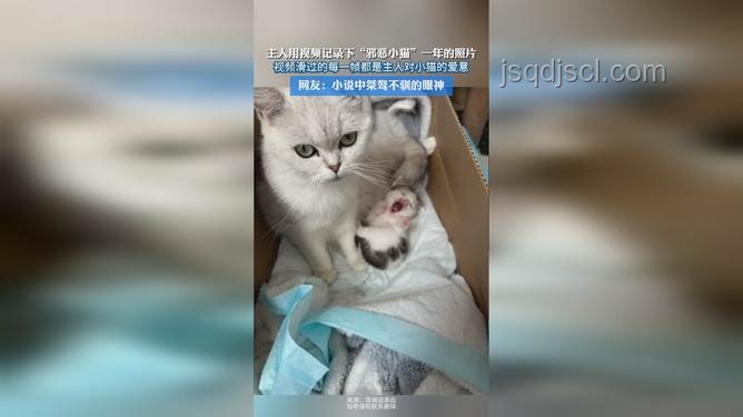 小程邪惡小貓:網(wǎng)絡(luò)昵稱背后的趣味文化解析 小程邪惡小貓:網(wǎng)絡(luò)昵稱背后的趣味文化解析
