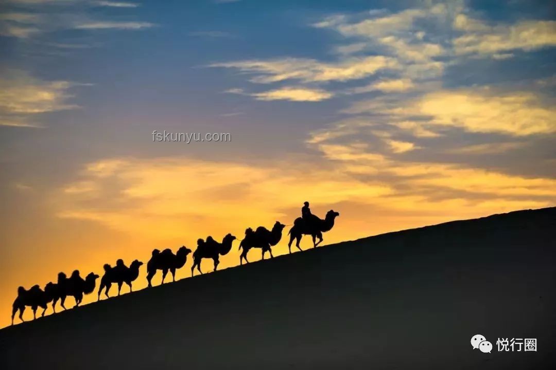 穿越沙漠的青春之旅：青春旅行團11探索罕見美景案例研究