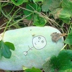《葫蘆兄妹》動畫創(chuàng)新演繹，跨界融合動畫新紀元！