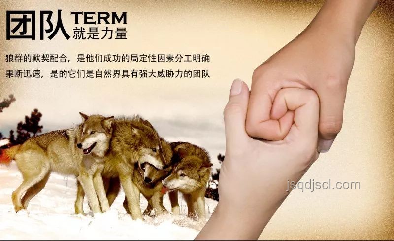 《狼群中出了一個叛徒》：識別與應(yīng)對團(tuán)隊背叛實用指南