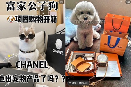 ??"Hachimiko"形狀設(shè)計(jì)風(fēng)潮興起:寵物用品創(chuàng)新趨勢(shì)洞察 ??"Hachimiko"形狀設(shè)計(jì)風(fēng)潮興起:寵物用品創(chuàng)新趨勢(shì)洞察
