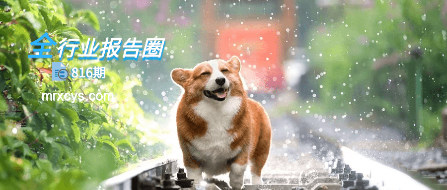 ??"Hachimiko"形狀設(shè)計(jì)風(fēng)潮興起:寵物用品創(chuàng)新趨勢(shì)洞察 ??"Hachimiko"形狀設(shè)計(jì)風(fēng)潮興起:寵物用品創(chuàng)新趨勢(shì)洞察