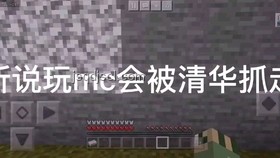 《火柴人vs我的世界系列 第零集 測試版(Beta)》深度分析 《火柴人vs我的世界系列 第零集 測試版(Beta)》深度分析