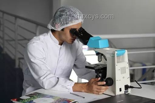 熱射病前兆案例研究:從忽視到重視的生死瞬間 熱射病前兆案例研究:從忽視到重視的生死瞬間