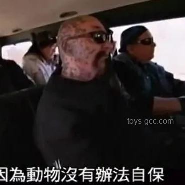動物睡覺自保能力弱,為何未被自然淘汰? 動物睡覺自保能力弱,為何未被自然淘汰?