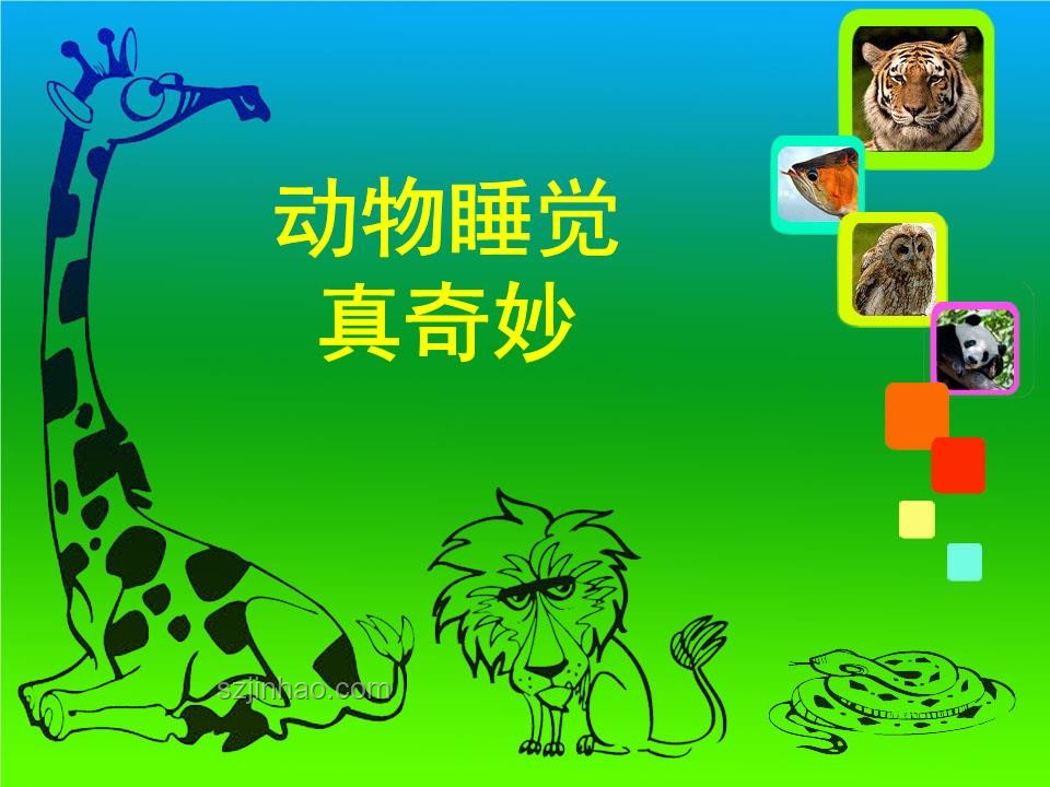 動物睡眠之謎:為何未被淘汰? 動物睡眠之謎:為何未被淘汰?
