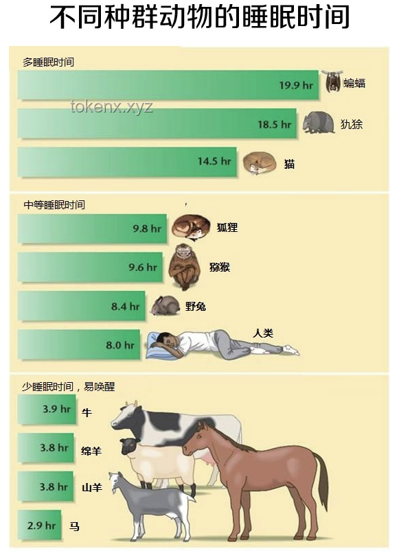 動物睡眠與自保能力:自然演化的奧秘 動物睡眠與自保能力:自然演化的奧秘