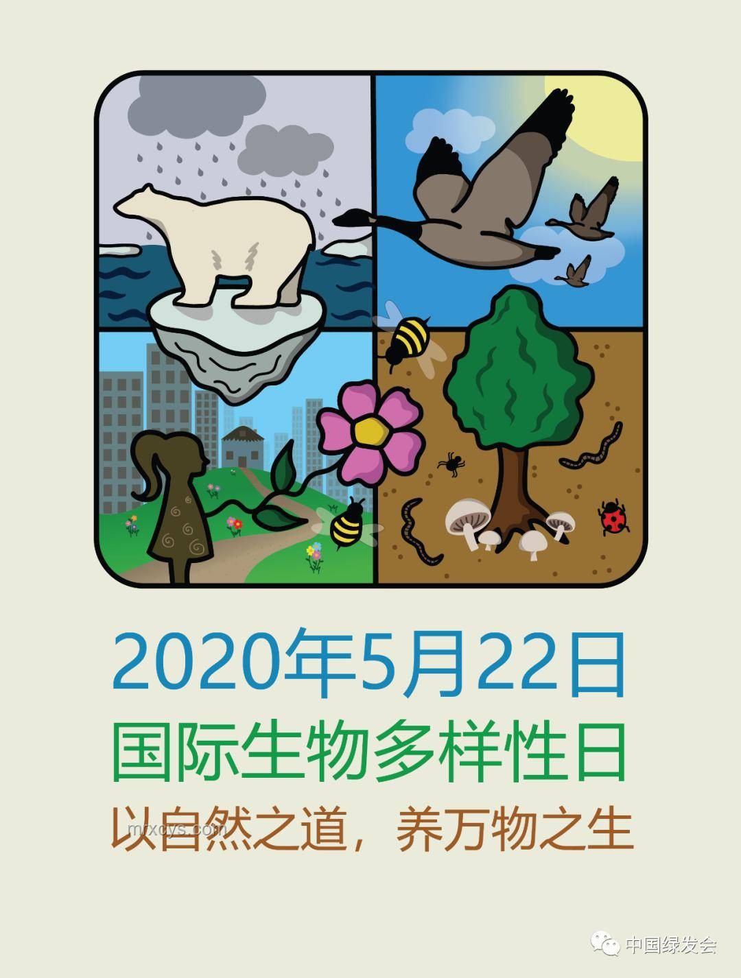 動(dòng)物睡眠自保趨零,為何未被自然淘汰?實(shí)用解析 動(dòng)物睡眠自保趨零,為何未被自然淘汰?實(shí)用解析