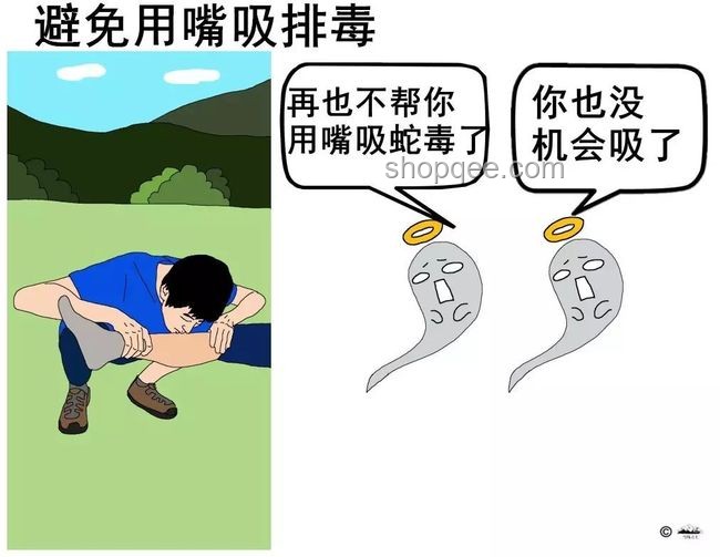毒蛇咬傷救治挑戰(zhàn)與行業(yè)洞察 毒蛇咬傷救治挑戰(zhàn)與行業(yè)洞察