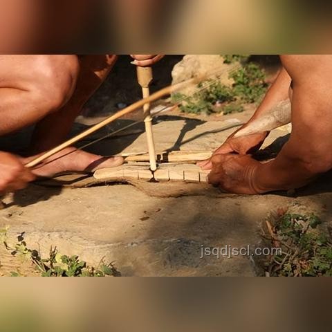植物大戰(zhàn)僵尸融合版：理智與狂歡的周年慶趨勢預測