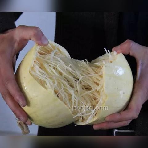 植物大戰(zhàn)僵尸融合版：理智與狂歡的周年慶趨勢預測