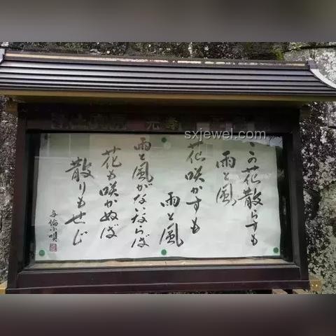 吃剩飯的智慧:獨特選擇背后的千萬種可能 吃剩飯的智慧:獨特選擇背后的千萬種可能