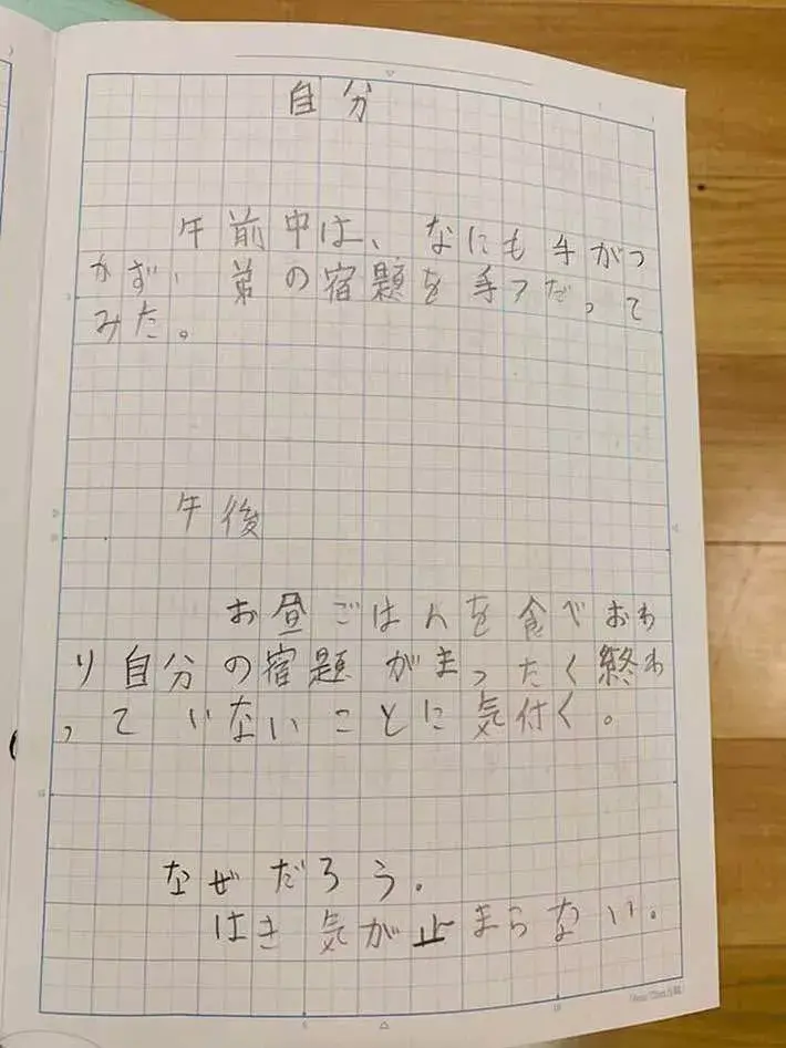 2024暑假作業(yè)新趨勢(shì)：小學(xué)生如何高效避坑寫作業(yè)？