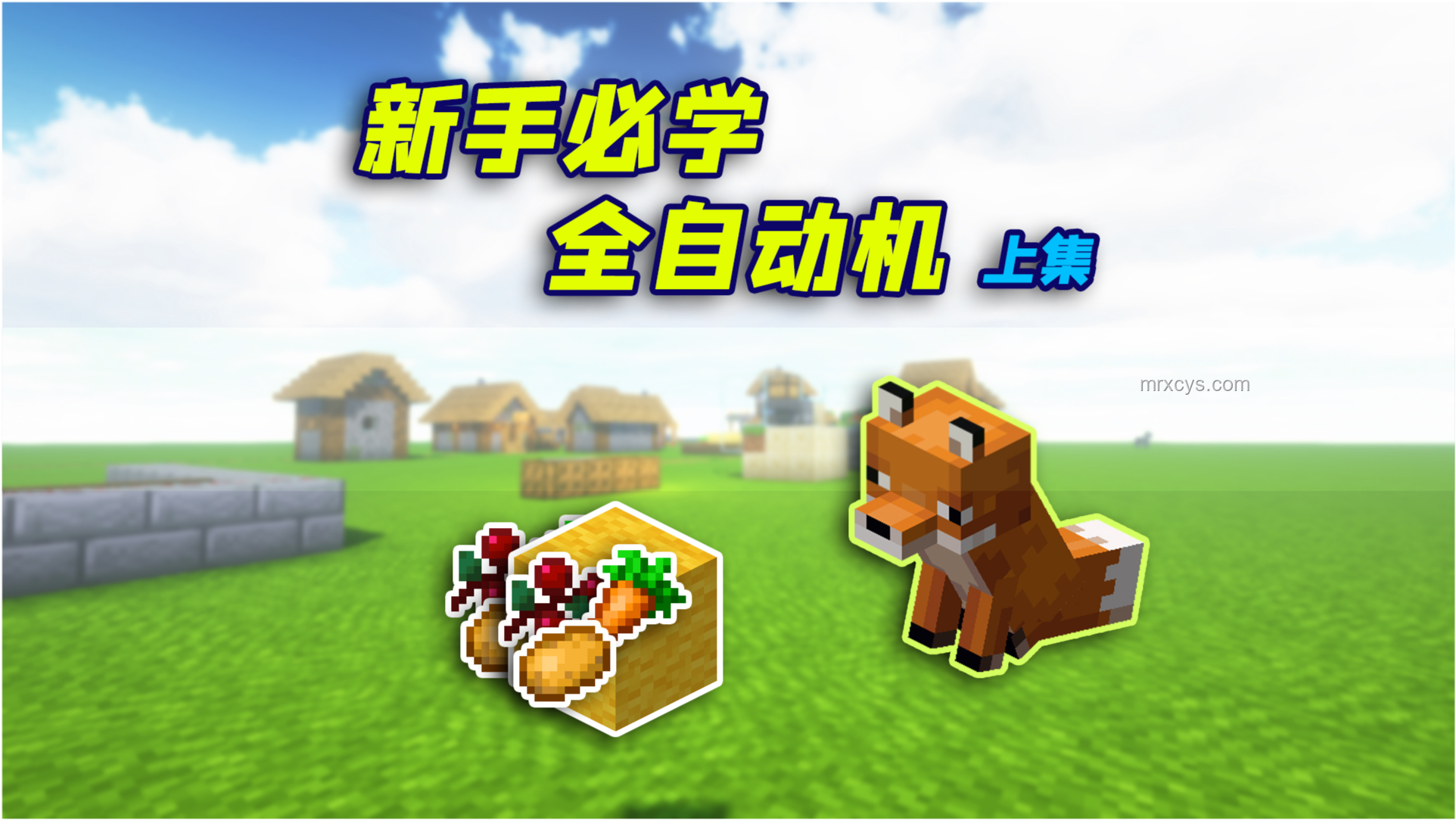 在全是網(wǎng)格的世界,我學(xué)會(huì)了編織生存的智慧網(wǎng)??? 在全是網(wǎng)格的世界,我學(xué)會(huì)了編織生存的智慧網(wǎng)???