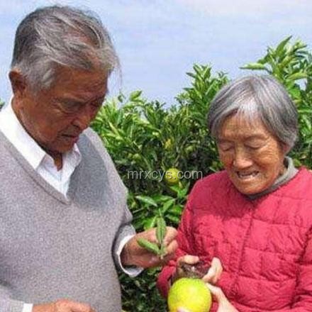 上來(lái)就是無(wú)期?我的創(chuàng)業(yè)坎坷路 上來(lái)就是無(wú)期?我的創(chuàng)業(yè)坎坷路