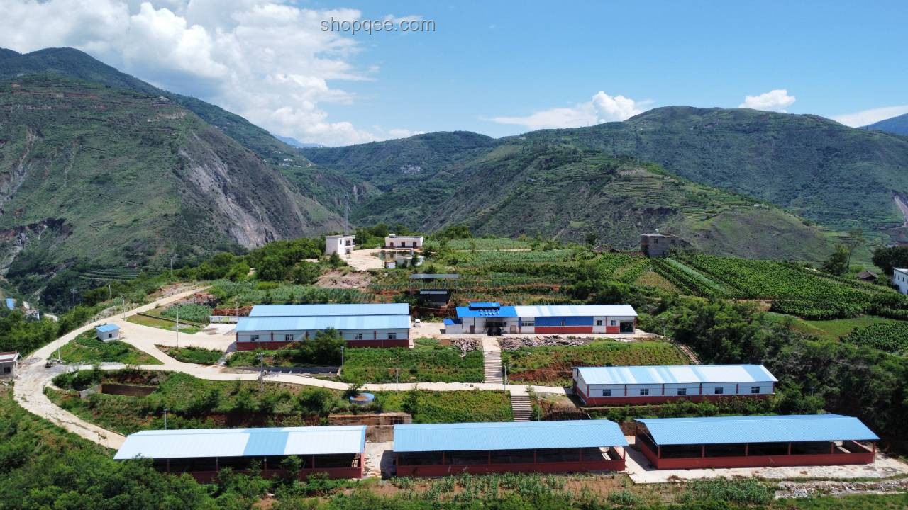 今天喜提新車新裝備進(jìn)軍農(nóng)村糖水市場深度分析 今天喜提新車新裝備進(jìn)軍農(nóng)村糖水市場深度分析
