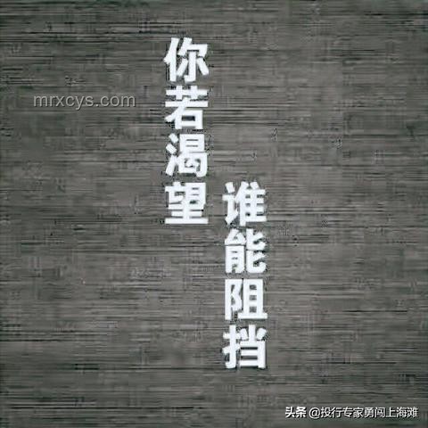 ??從零到一,我的自媒體創(chuàng)業(yè)之旅 ??從零到一,我的自媒體創(chuàng)業(yè)之旅