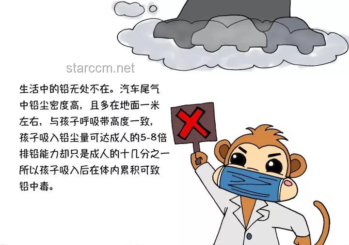 鉛中毒問題解決方案：認識危害，科學防治