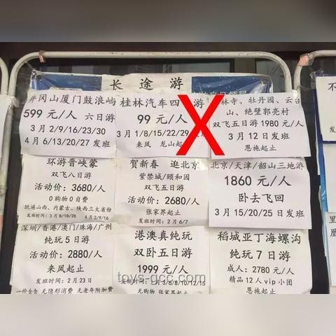辨別真假荔枝樹照片:實(shí)用指南 辨別真假荔枝樹照片:實(shí)用指南