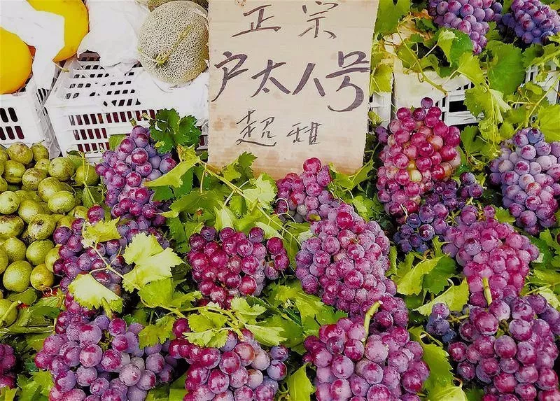 如何辨別網絡圖片真?zhèn)危阂浴皥蠖骼笾洹睘槔? title=