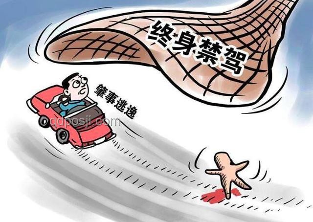 走出囤書不看的怪圈,讓知識活起來!??,決心,行動,反思,成長 走出囤書不看的怪圈,讓知識活起來!??,決心,行動,反思,成長