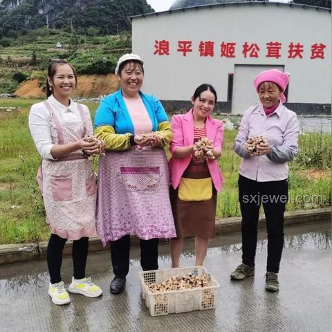 男子借款20萬變2800萬債務(wù)困境解決方案 男子借款20萬變2800萬債務(wù)困境解決方案